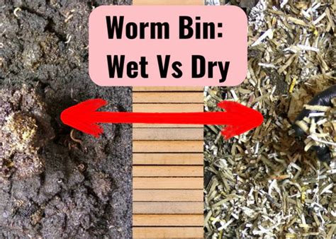 worm bin water level